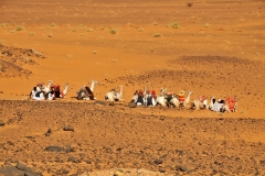 Camel and riders waiting for potential customers to ride several blocks across the desert floor.