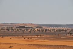 The Meroe Camp