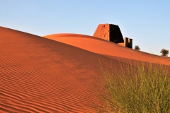 This has to be a prize winner with the sun setting red on the sand with the lone bush in the desert scape.