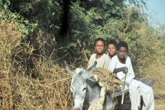 Kids riding a donkey... 3 on a donkey that is. We find ourselves sharing space with people, donkeys, camels and goats.