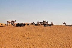 The Bayuda Desert is an area bounded by the loop formed by the Nile between the 4th and the 6th Cataract and characterized by the sharp black basalt mountains. Most of them volcanic and typically cone shaped.