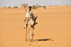 Young boy entering the well area on a camel.