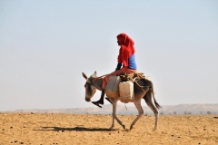 The wife returning from a well across the desert