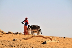 This family is lucky to have several donkeys