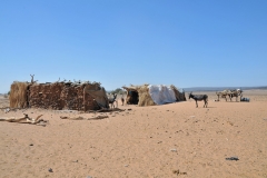 After driving for some hours across the Bayuda Desert we come across a typical Bisharin nomad family camp