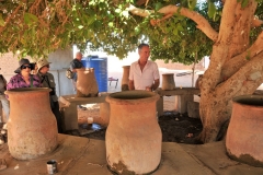 Our trip tour guide explaining the large pots under the trees