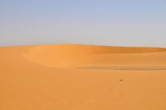The relentless sand of the desert.. always moving