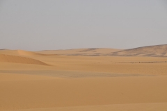 The desert is really beautiful in its own way with shadows, colors of sand and the wind constantly changing it.