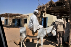 Local village with their own brand of 21st century transportation. A donkey like thousands of years.