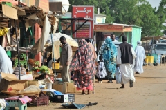 Lots of local bananas for sale