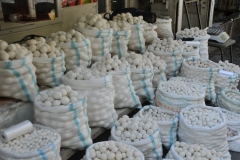 Sour Cheese balls - Kashk is made from drained yogurt or drained sour milk by shaping it and letting it dry. It can be made in a variety of forms, like rolled into balls, sliced into strips, and formed into chunks.