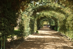 The Botanical Park covers 98.84 acres in the heart of the city.  Here we walk under a fine covered arbor