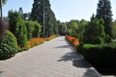 The extensive Botanical Gardens, with its Persepolis-inspired gateway, is home to a fine collection of mature deciduous trees and offers a shady retreat in the heat of the sun..