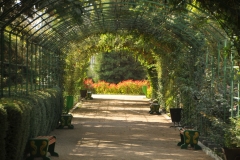 Walking through one of the many beautiful arbor within the Botanical Park.