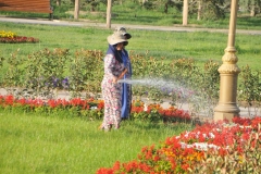 One of many ladies watering the beautiful flowers in the plaza gardens.