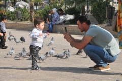 A young father taking a photo of his son with the pigeons.