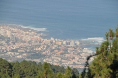 Panoramic view of the city and the high rise buildings.