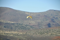 Rounding a bend in the road we come across a hang glider enjoying the morning lifts of wind.