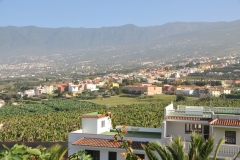 After our tour around Tenerife we return to Santa Cruz and the city.