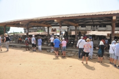Our first stop we find ourselves stopping at a Voodoo Market.  The Voodoo market of Lome in Togo taught me a little bit more about this fascinating religion.