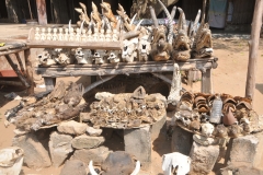 I was told numerous times here that Voodoo is not practiced to harm people but only to heal and to do good. This market is widely known for its great variety of products. You can find fetishes, charms and everything you might need for a Voodoo ritual here. The locals that visit the market don’t come here for fun. They come here to buy ingredients to fix a problem or to visit the market’s Voodoo priest. Or at least, that’s what I was told.