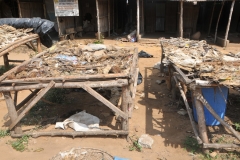 There are 15 stalls at the Voodoo market. All of these are run by salesmen/healers from the neighboring country Benin, where the Voodoo religion originated.