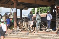 As I walked from stall to stall, I learned what the Voodoo practitioners use the different animals for. According to him, anything can be treated, from diseases to curses. For example, I can remember that the skulls of cats are used to treat memory loss.