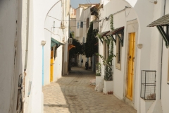 At the beginning of recorded history, Tunisia was inhabited by Berber tribes. Its coast was settled by Phoenicians starting as early as the 12th century BC.  Walking down one of the narrow streets. Just a walkway really.