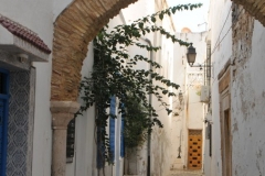 At the beginning of recorded history, Tunisia was inhabited by Berber tribes. Its coast was settled by Phoenicians starting as early as the 12th century BC