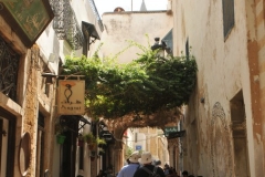 Walking through the Medina we see many palaces, mosques and fountains along the walk. Another coffee stop should you desire. 