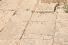 Depicting the continent of Africa. Near the Capitol are the "square of the Rose of the Winds"—which is named after a compass rose that is engraved on the floor