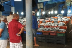 Local caught fish for sale in the market