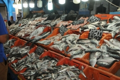 Just caught fresh fish ready to take home