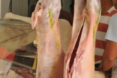 Lamb ready for barbecuing. 