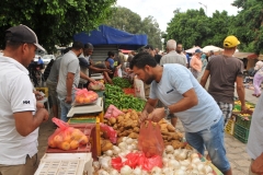 It is a busy local market with lots of varieties of produce.  