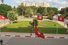 Garden areas from the Museum