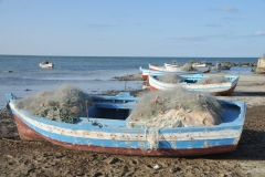 The next morning after landing in Djerba we visited the seashore and the fishing areas.