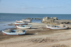 Tides out until tomorrow again