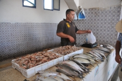 Fresh fish market for sure