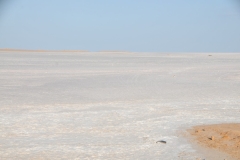 Driving to the Sahara Desert area we encountered a massive salt flat area.  We stop at Chott el Djerid, the largest sal lake in the Sahara Desert. 