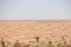 In the distance is our tent camp we will be enjoying the night in the Sahara Desert.  Once we reached Douz, a town were all roads end at the edge of the Great Eastern  Erg, the Great Eastern Sand Sea we  switched to 4 X 4 Toyota's in the early afternoon..  This immense expanse of the Sahara extends hundreds of miles to the south. 