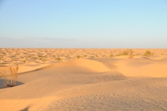 Winds over time will sweep desert sand into heaps which, given enough sand, form into a series of hills. Here the air currents form sand dunes parallel to the prevailing direction of the wind. These dunes have long, sharp ridge lines.