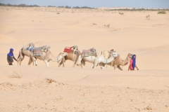 We were walking over the sand dunes to meet the camel drivers. 