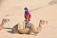 The one-humped dromedary makes up 94% of the world's camel population, and the two-humped Bactrian camel makes up 6%. The average life expectancy of a camel is 40 to 50 years
