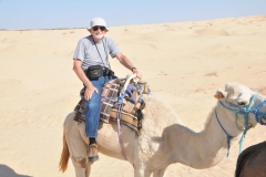 A camel can drink as seldom as once every 10 days even under very hot conditions.  The camel's thick coat insulates it from the intense heat radiated from desert sand. 