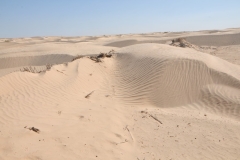 Wind blown sand dunes constantly changing 