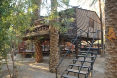We arrive at our hotel in the town of Tozeur.  Each of the accommodations is a guest house raised off the ground.  This was the one I was staying in next to the dining room and pool area. 