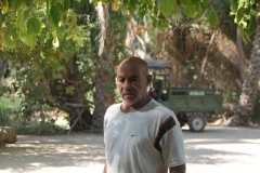 Mohamed introduces to us a friend of his who has cared for these date palms all his working life practically.  Through translation we learn the care and work that goes into these date palms and the date crop. 