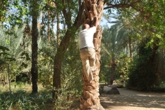 Returning to earth. It was nothing for him to do this. Easy. 