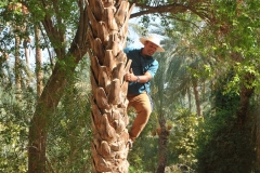 Of course Mohamed had to try it too.  That is far as he got and with shoes too. A very interesting morning for all of us. 